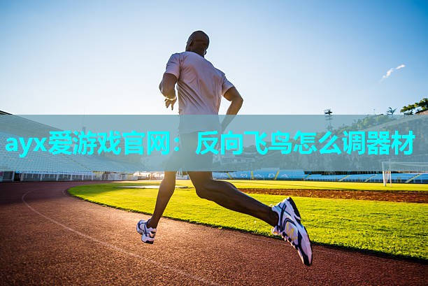 ayx爱游戏官网：反向飞鸟怎么调器材