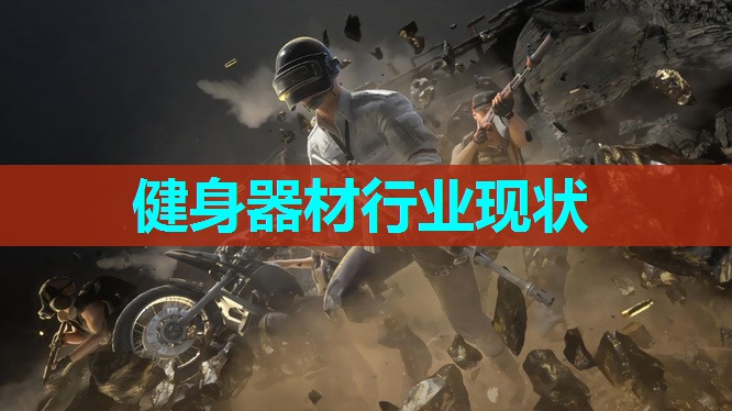 健身器材行业现状