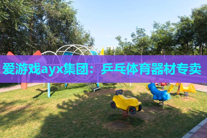 爱游戏ayx集团：乒乓体育器材专卖