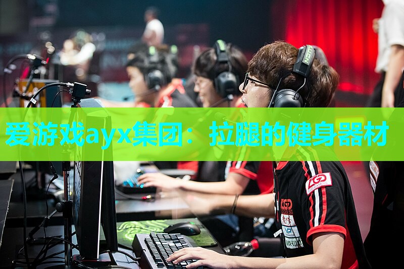 爱游戏ayx集团：拉腿的健身器材