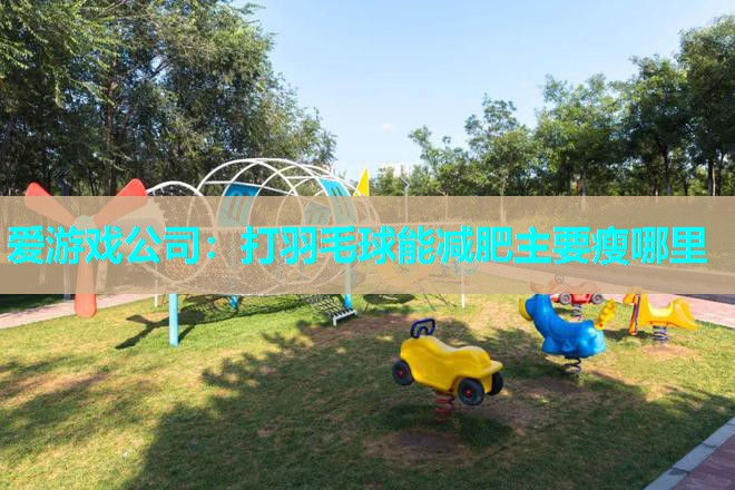爱游戏公司：打羽毛球能减肥主要瘦哪里
