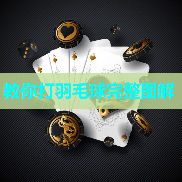 教你打羽毛球完整图解