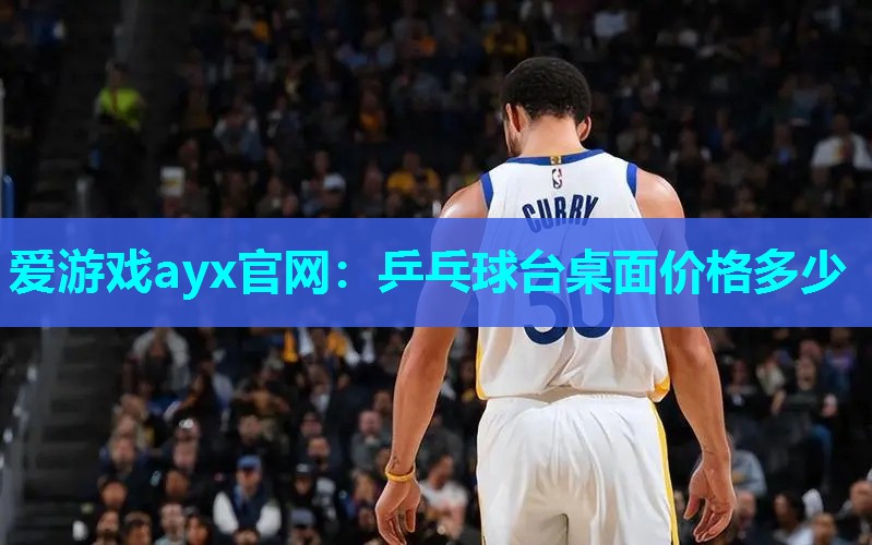 爱游戏ayx官网：乒乓球台桌面价格多少