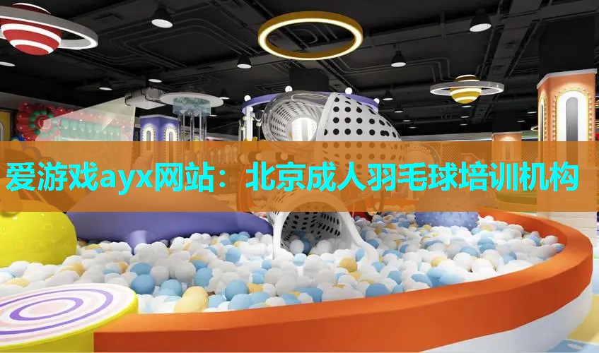 爱游戏ayx网站：北京成人羽毛球培训机构