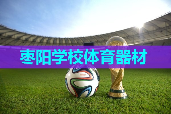 枣阳学校体育器材