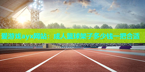 爱游戏ayx网站：成人篮球架子多少钱一把合适