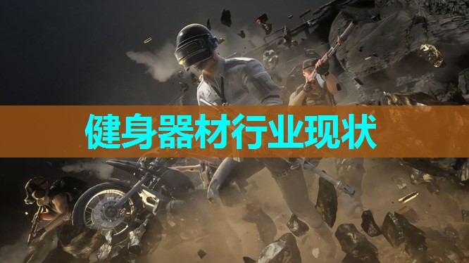 健身器材行业现状