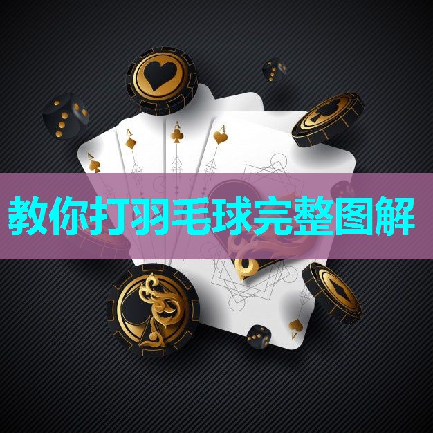 教你打羽毛球完整图解