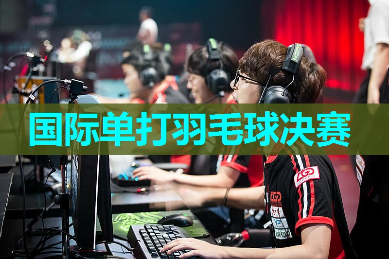 国际单打羽毛球决赛