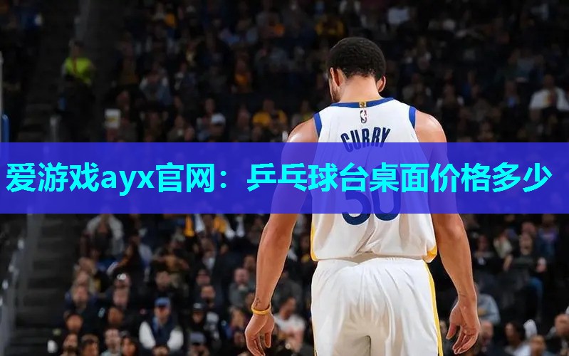 乒乓球台桌面价格多少