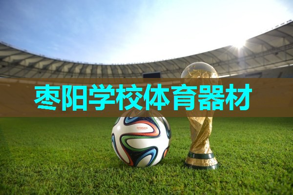 枣阳学校体育器材