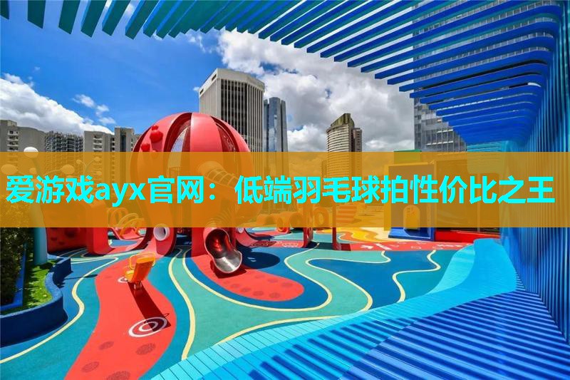 低端羽毛球拍性价比之王