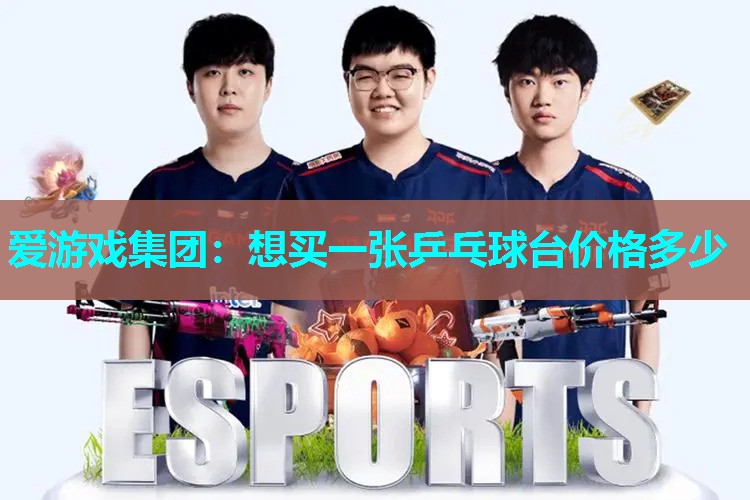 想买一张乒乓球台价格多少