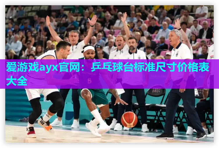 乒乓球台标准尺寸价格表大全