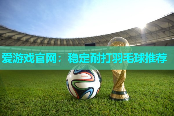 稳定耐打羽毛球推荐