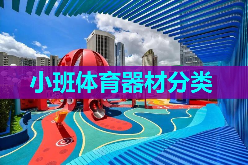小班体育器材分类